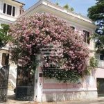 Villa storica di lusso con giardino a Monteverde, Roma